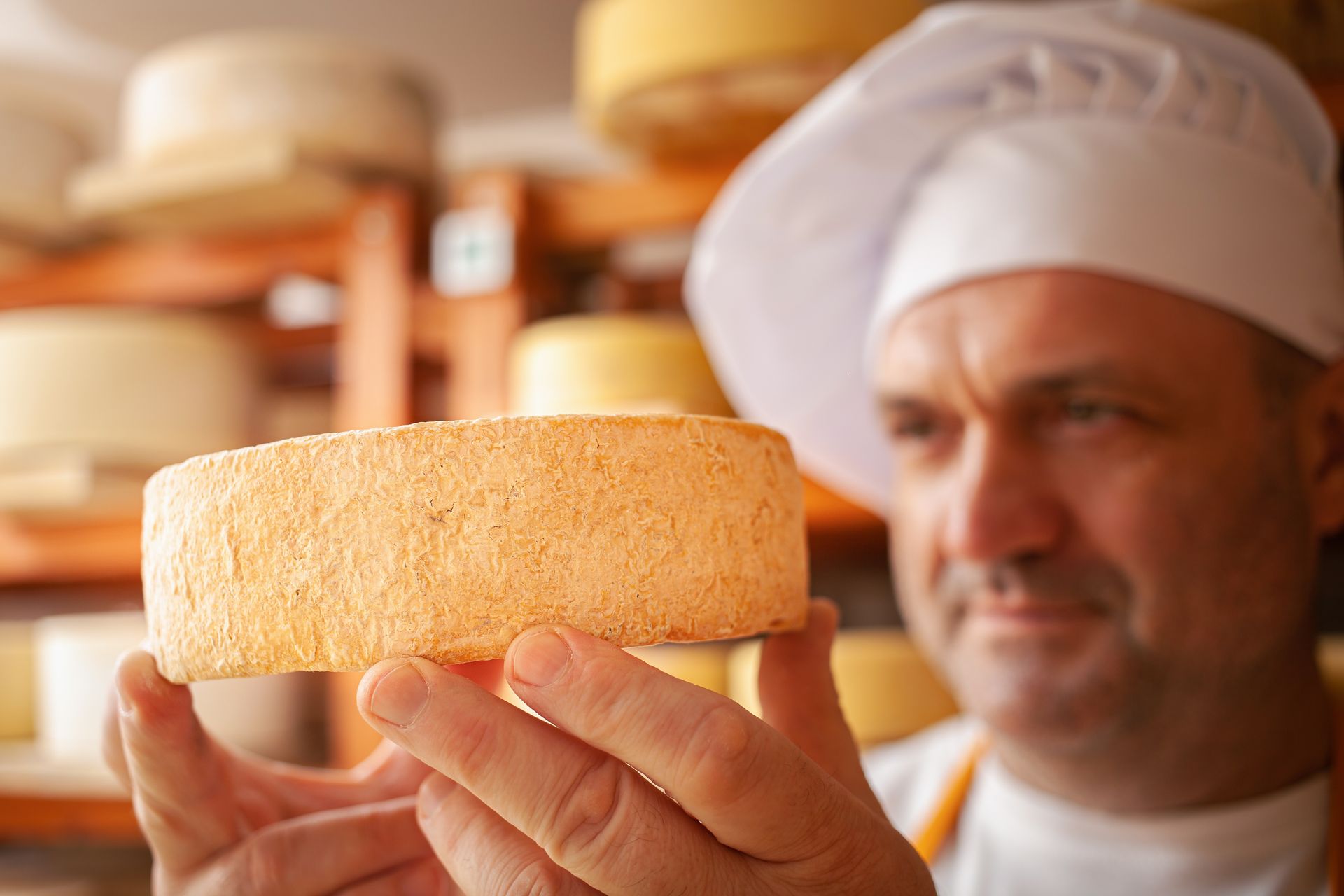 esperienza enogastronomica  caseificio