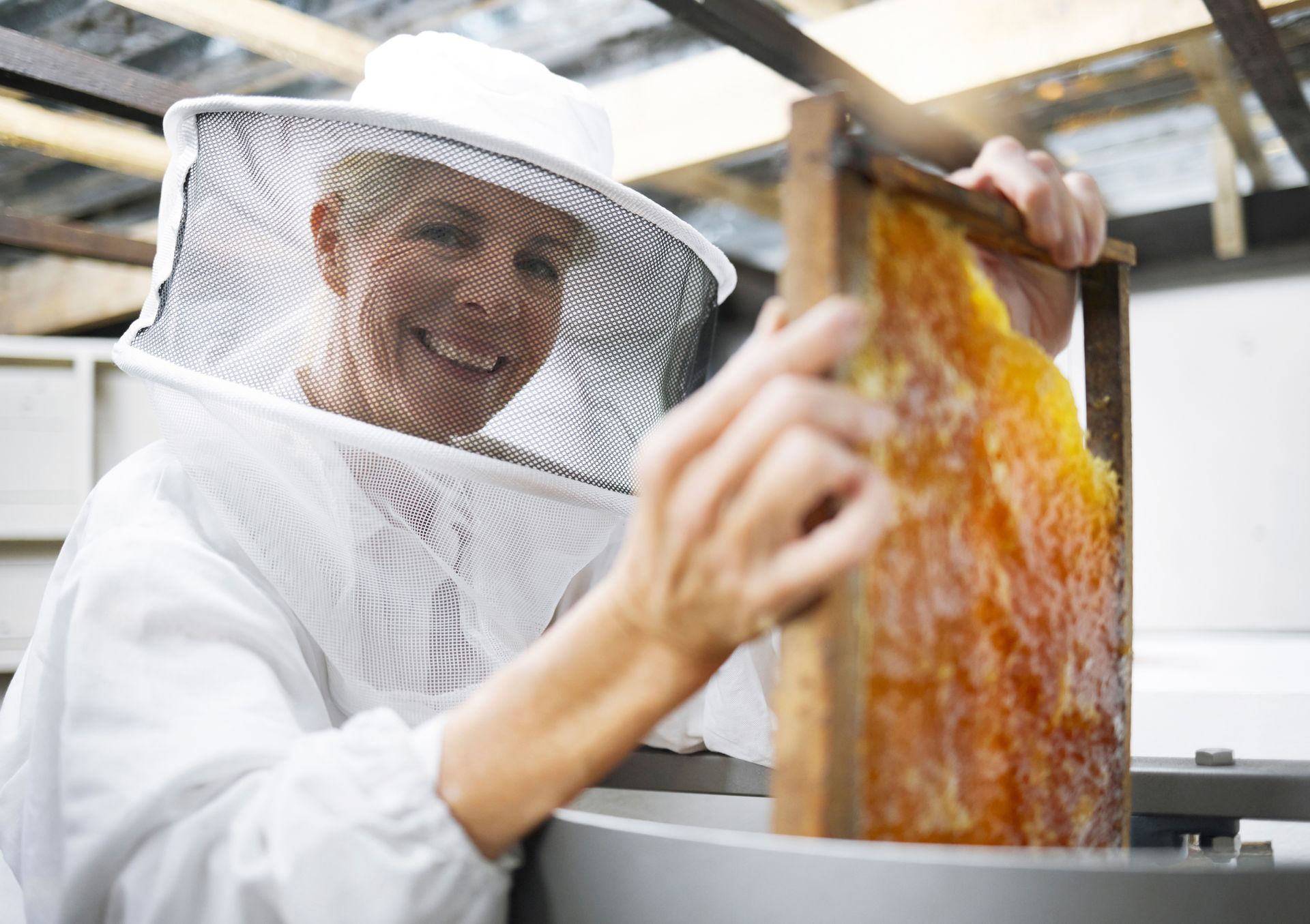 Produzione del miele
