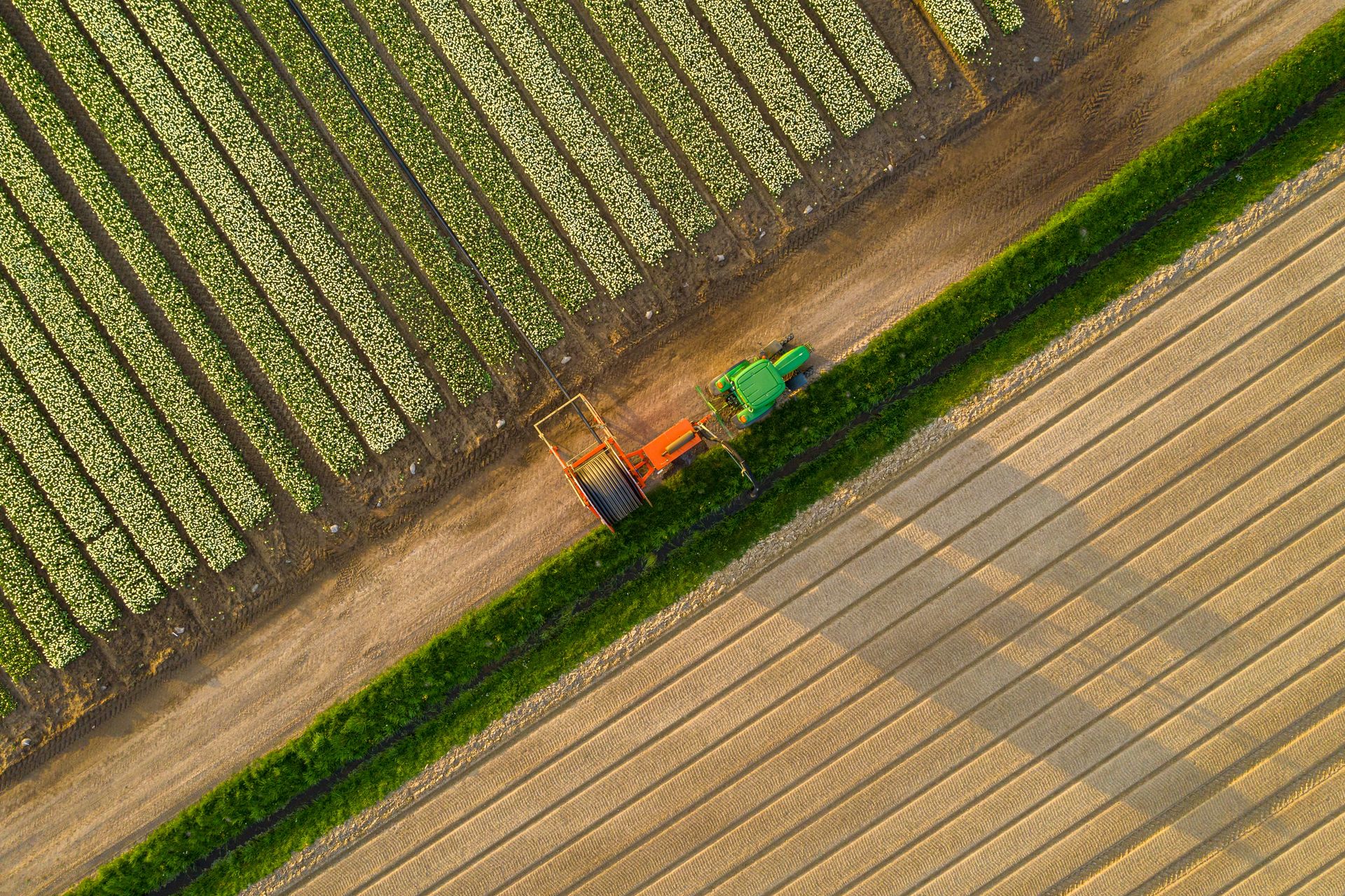 colture diversificate agricoltura sostenibile