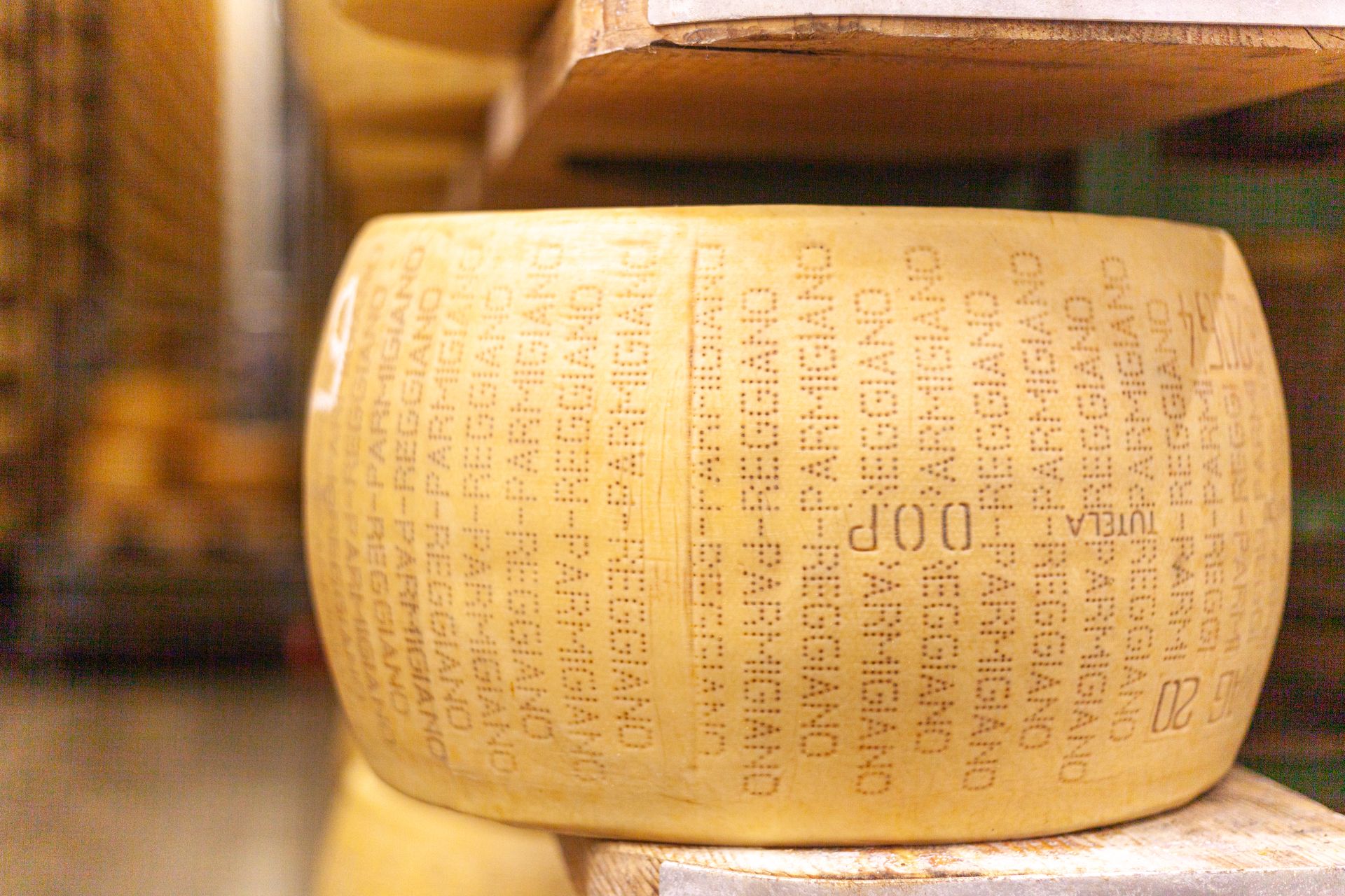 Parmiggiano Reggiano Forma
